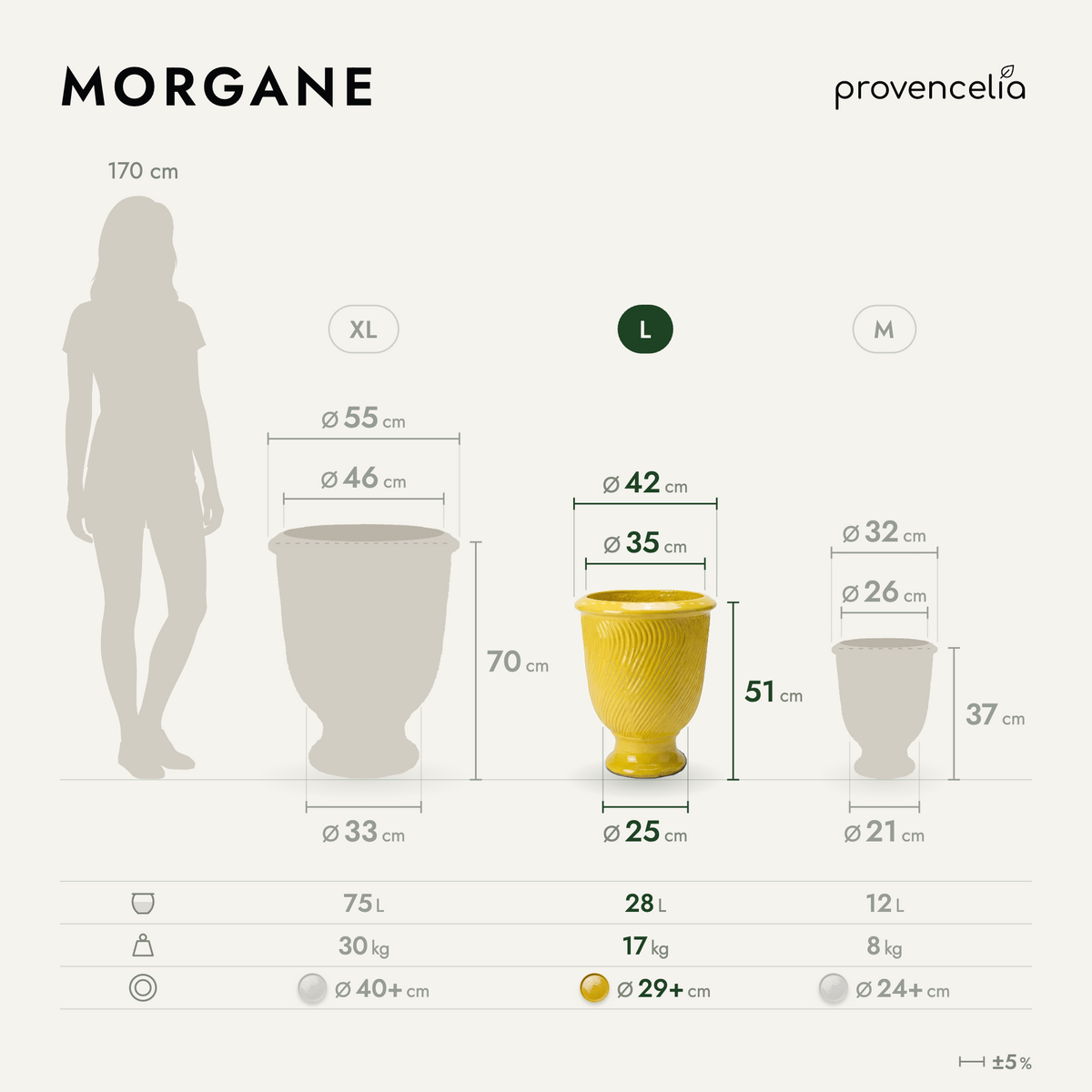 MORGANE L – dimensioni