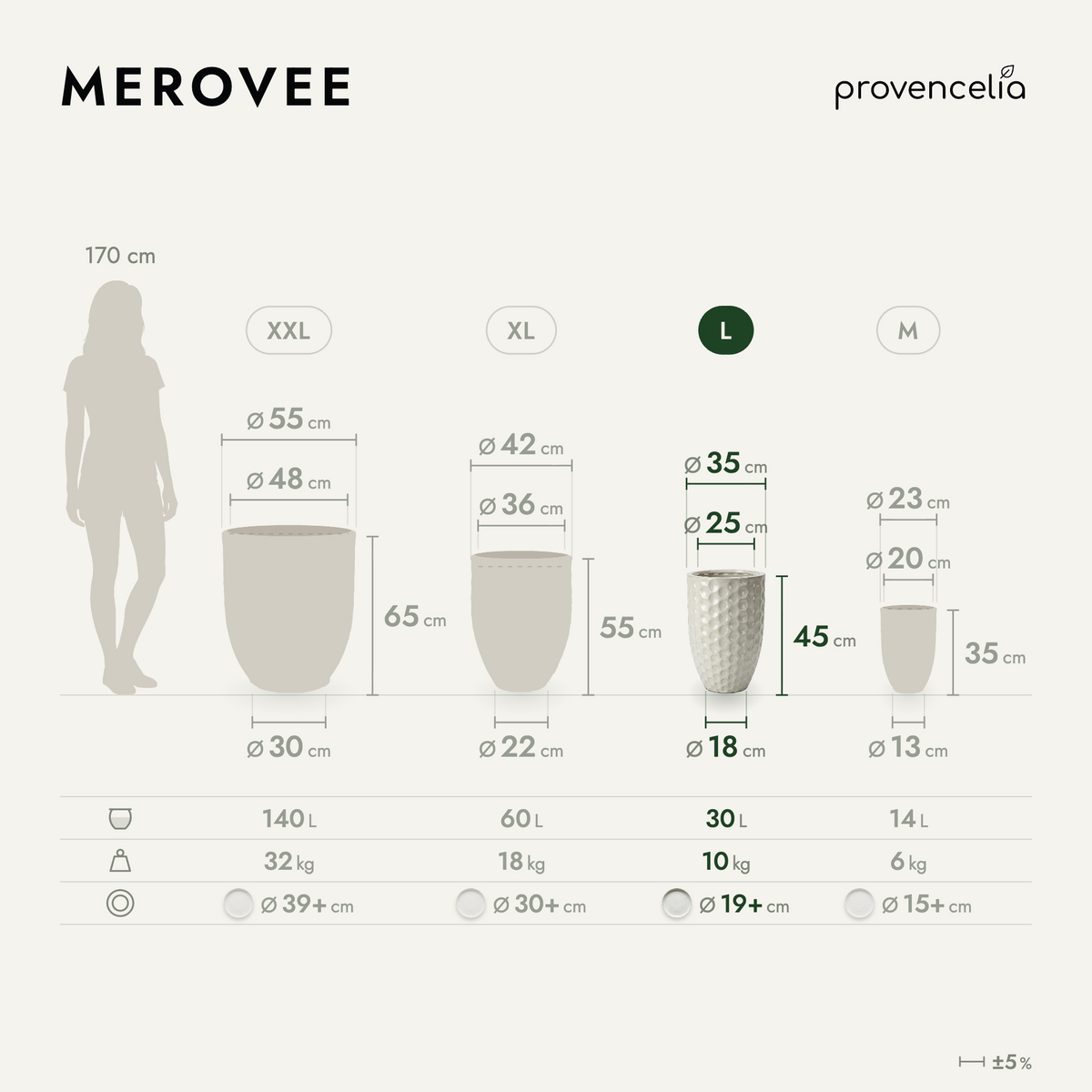 MEROVEE L – dimensions