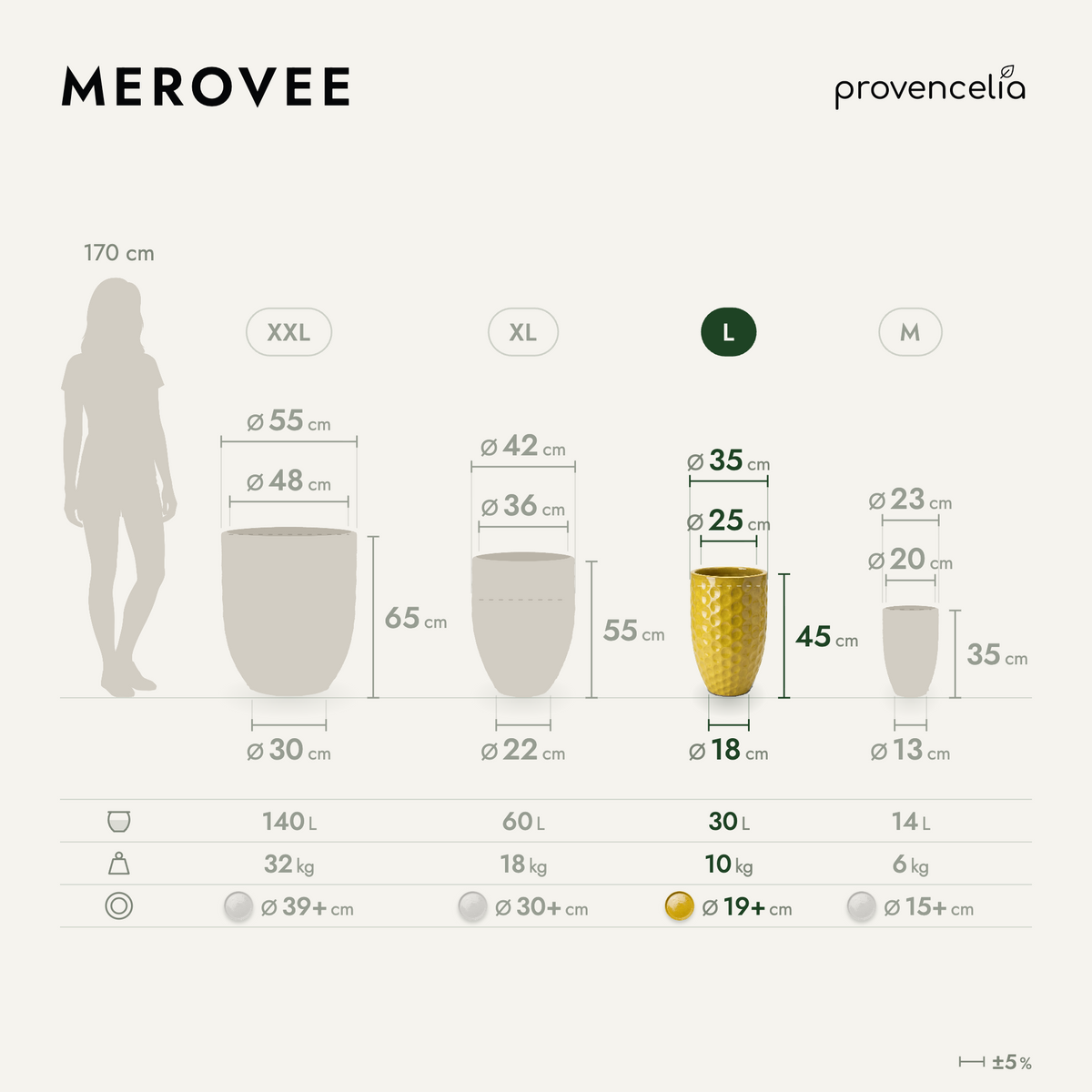 MEROVEE L – dimensions
