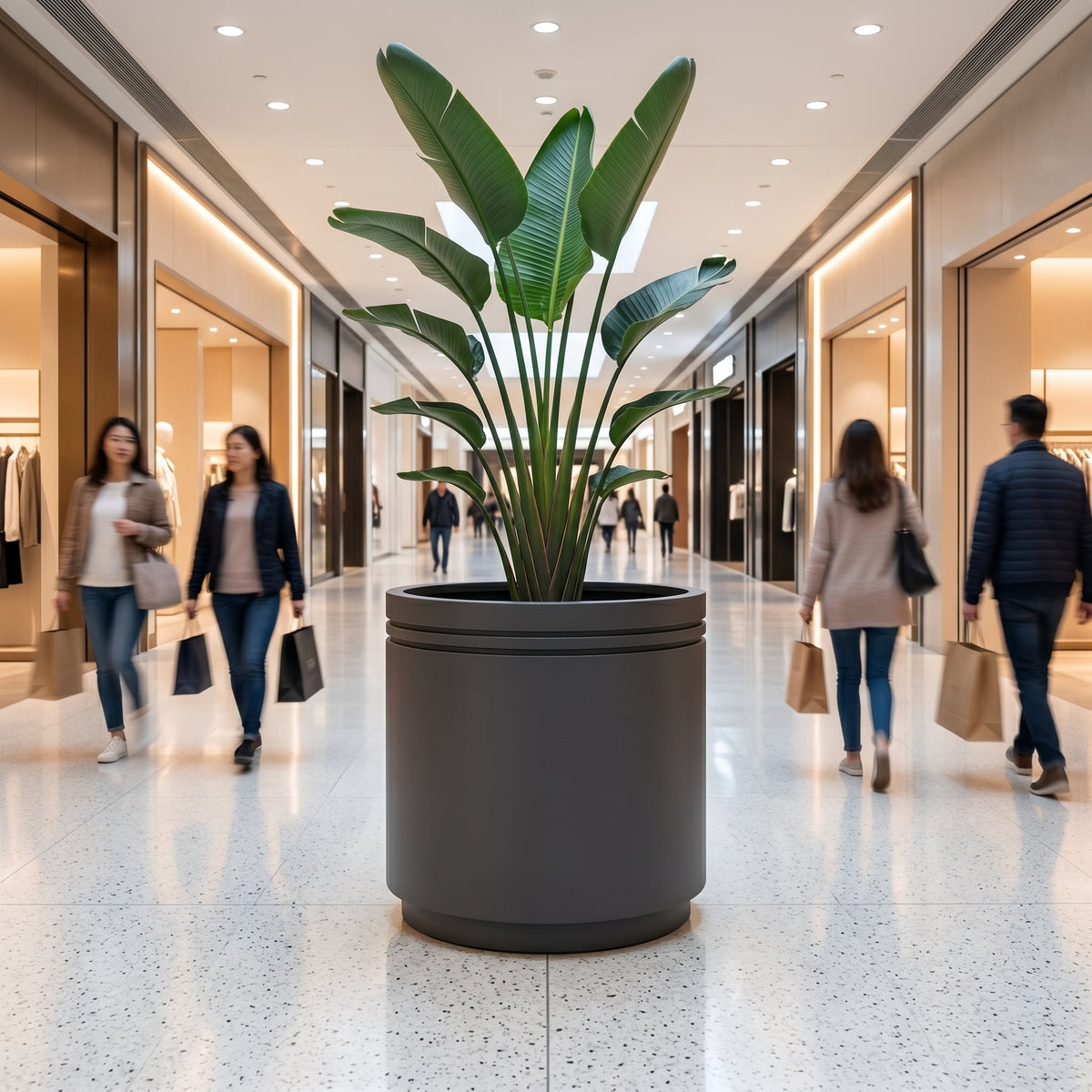 Vaso Infinity round cilindrico 60 × 60 cm Antracite in acciaio zincato, con una pianta tropicale in una galleria