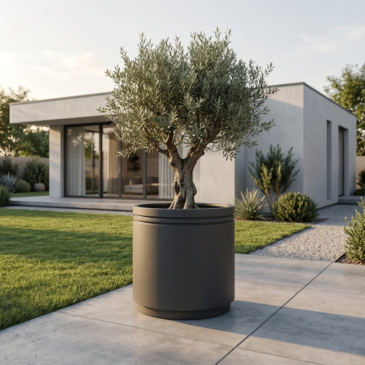 Vaso Infinity round cilindrico 60 × 60 cm Antracite in acciaio zincato, con un olivo davanti a una casa