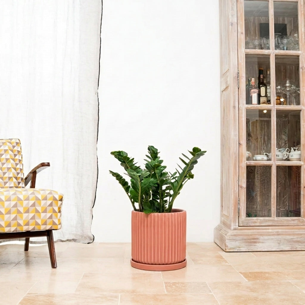 Sottovaso in ceramica rosa per vaso – resistente al gelo