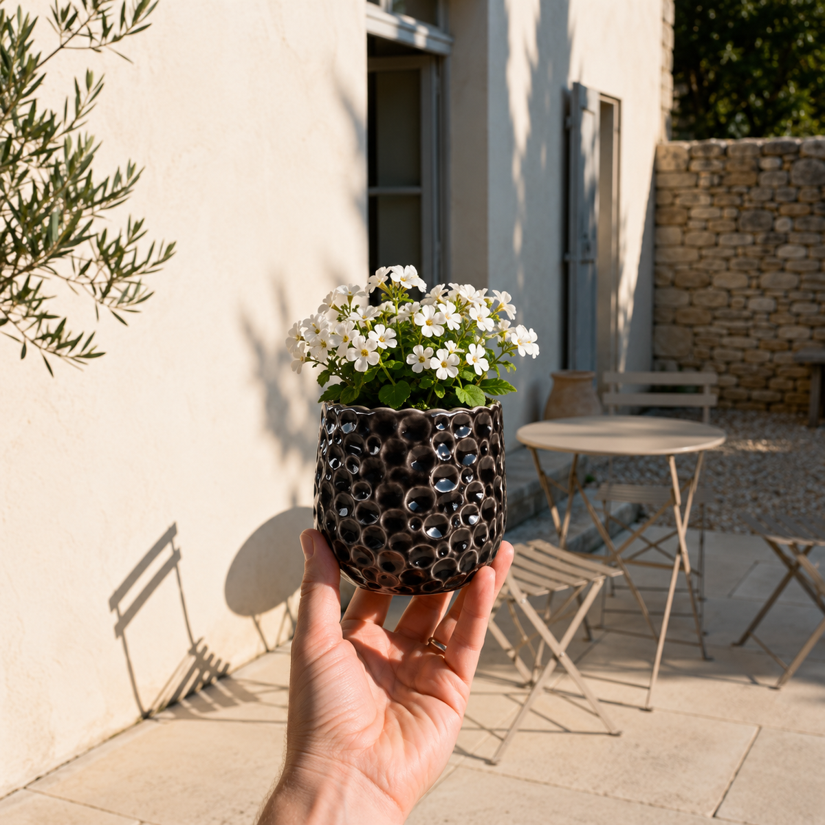 Pot PARISETTE rond 12x10 cm noir en terre cuite émaillée, fleurs blanches tenues en terrasse