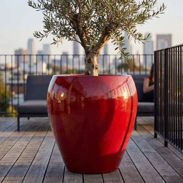Vaso Lafontaine2 a forma di anfora Rosso in ceramica smaltata, con ulivo su terrazza