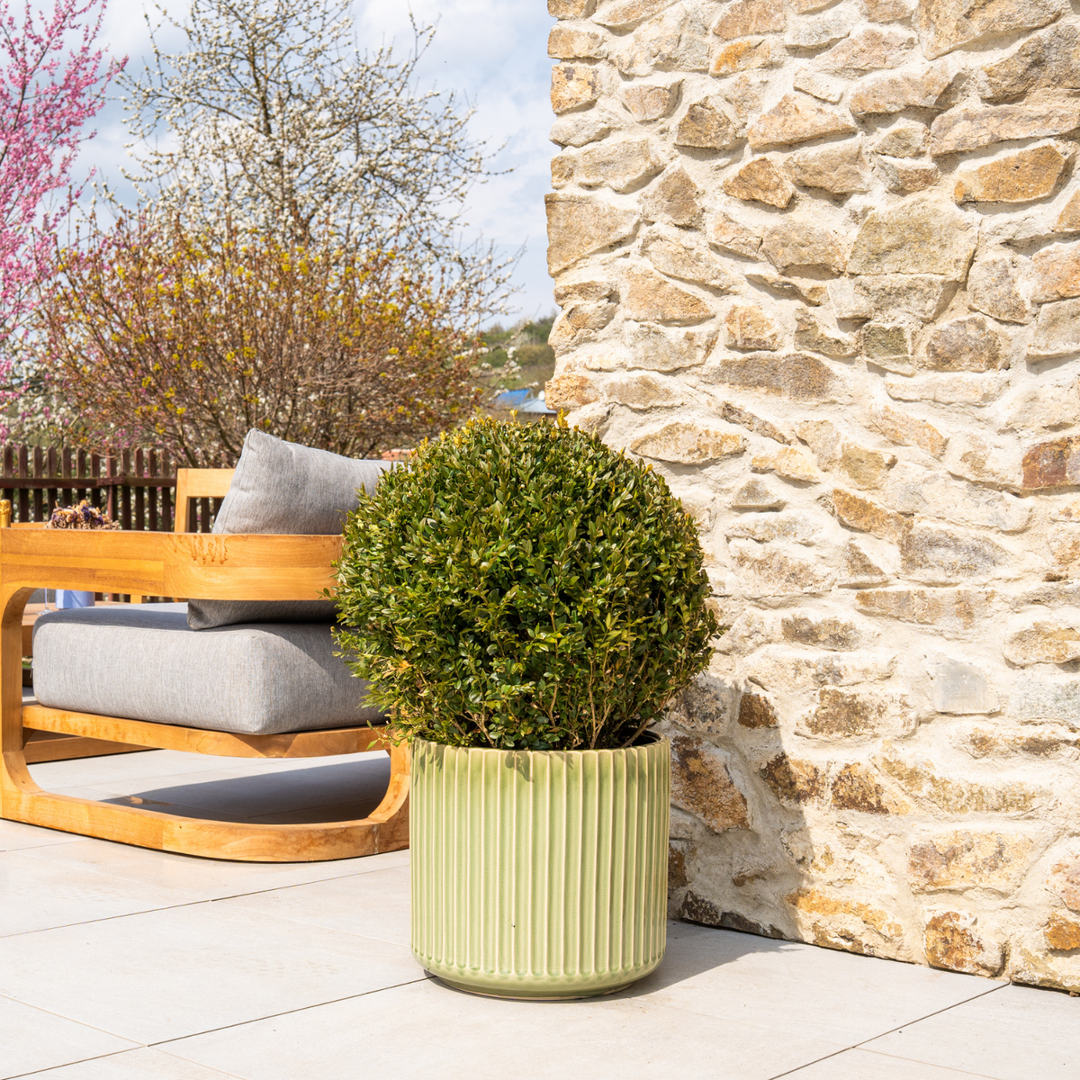Pot London décoratif 35x33 cm vert pomme, planté d'une boule de buis en terrasse