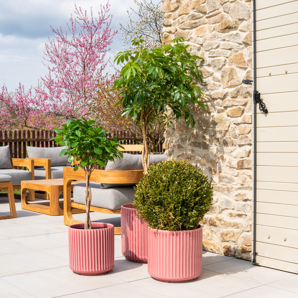 Macetero London decorativo de 35 × 33 cm Rosa, entre maceteros plantados en una terraza