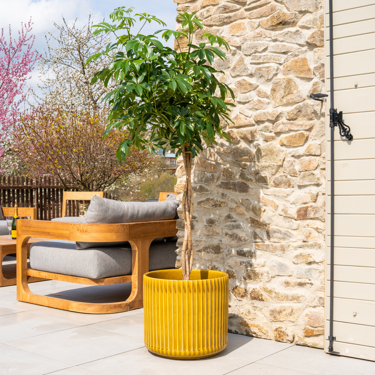 Macetero London decorativo de 42 × 39 cm Heliodoro, con árbol en una terraza