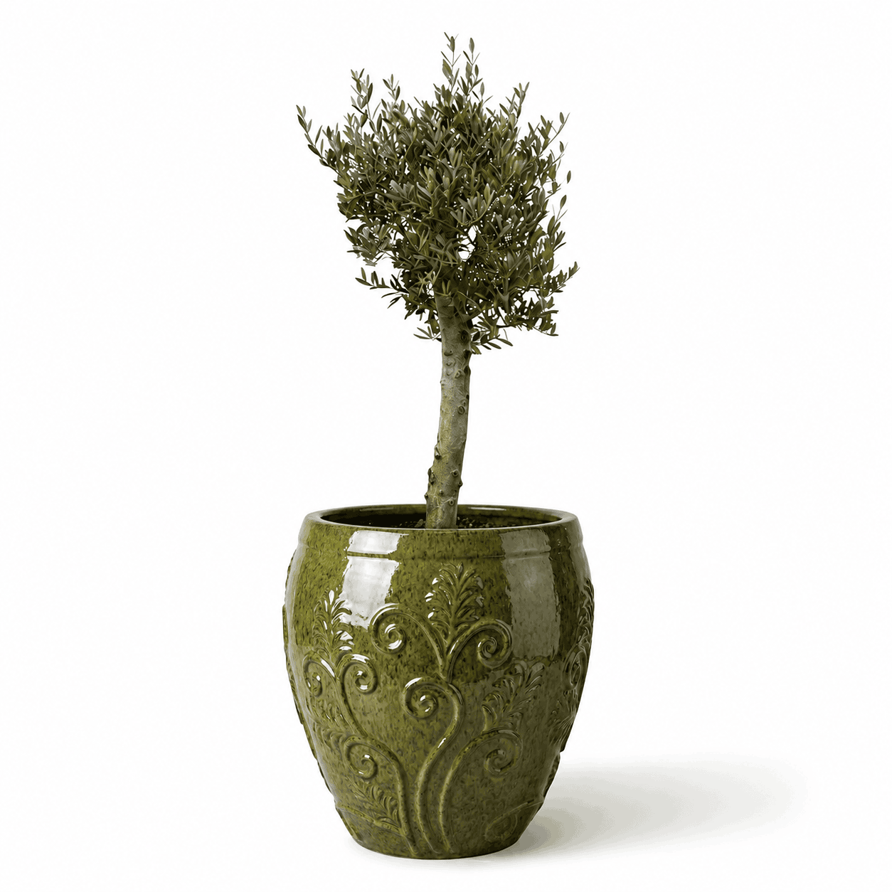 Lot olivier + pot GAIA 75x78cm vert tropical, fait main en terre cuite émaillée Provencelia