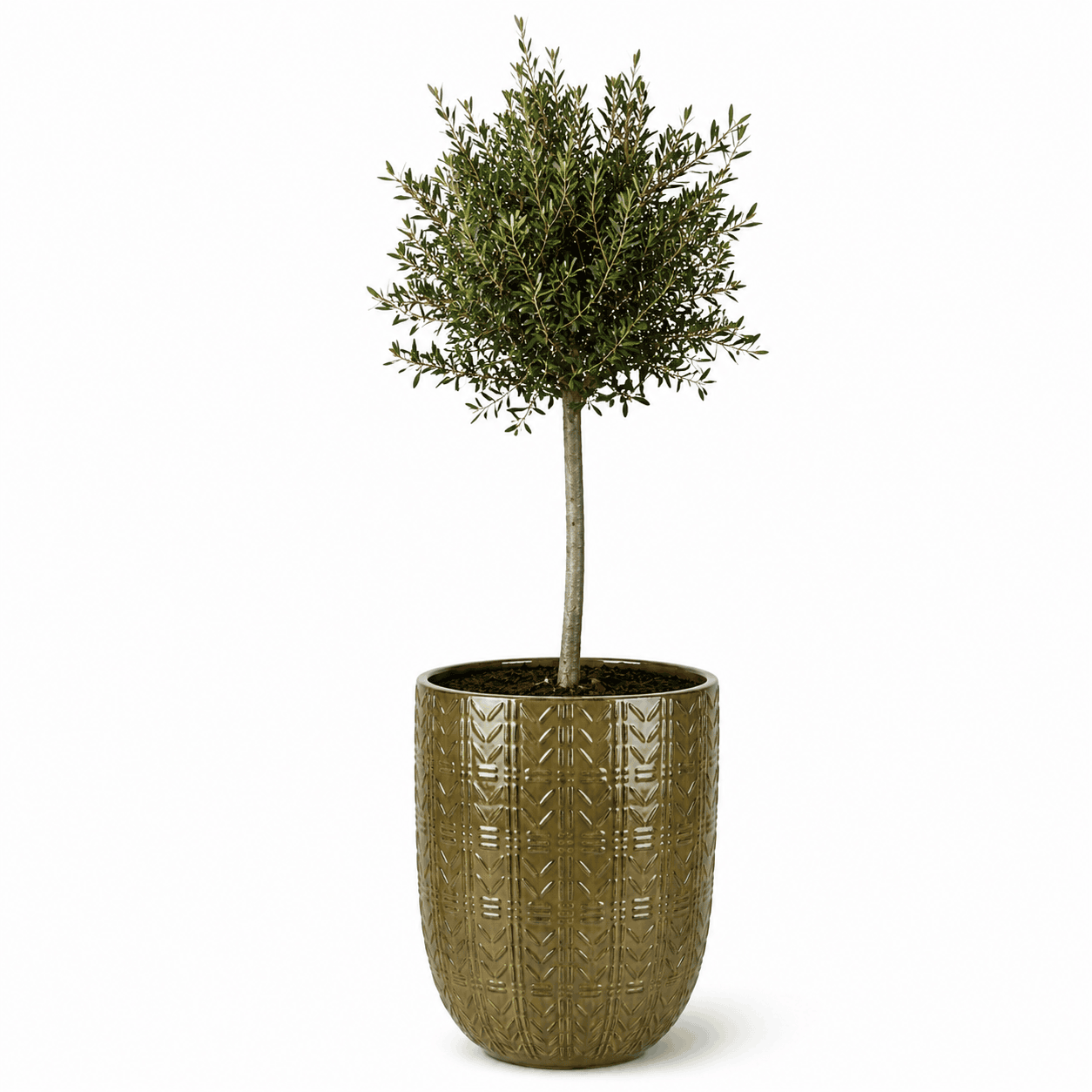 Lot olivier + pot MERCURE 51x64cm sunset, fait main en terre cuite émaillée Provencelia