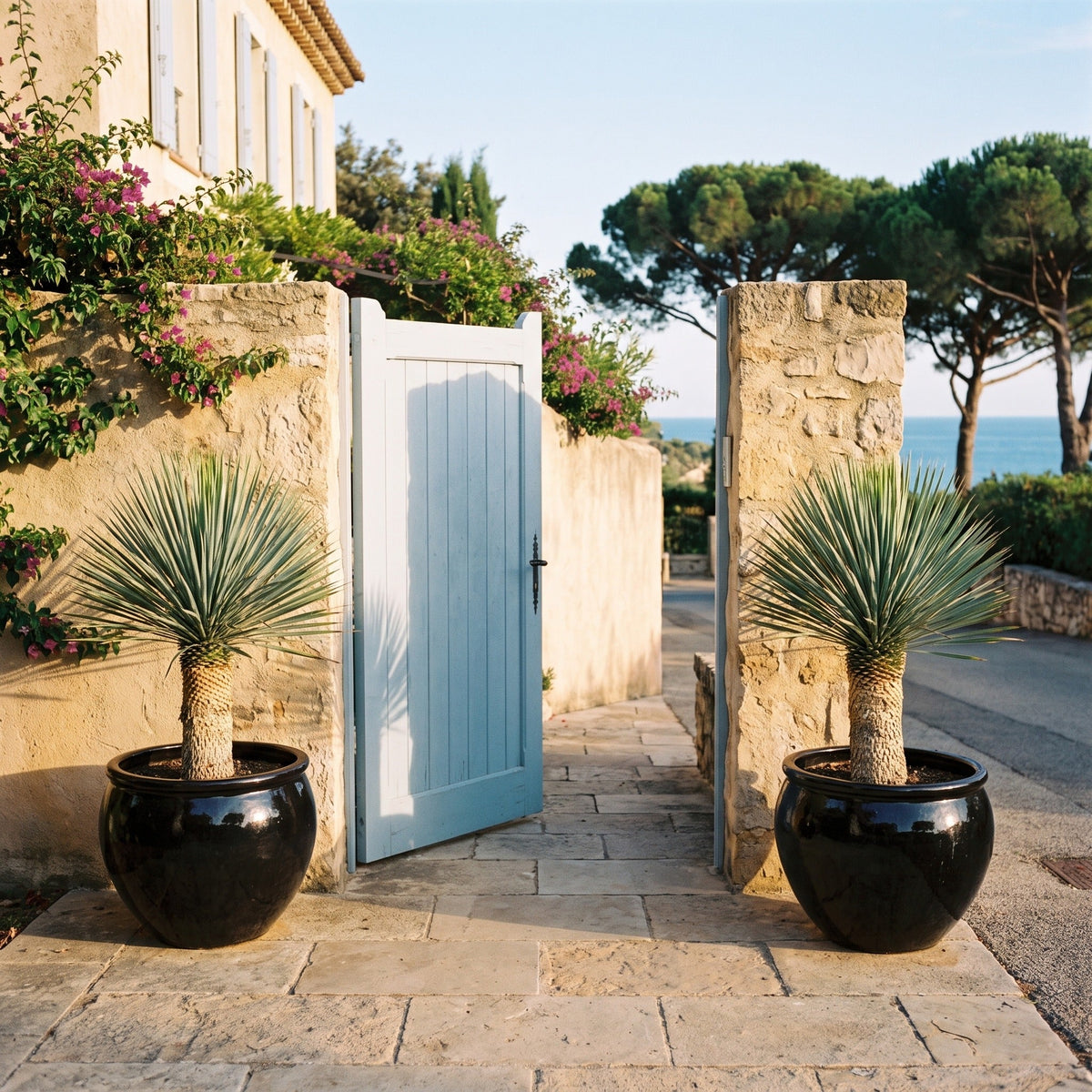 Round LUTECE planter 53x43 cm Black glazed ceramic, with yuccas in front of a gate
