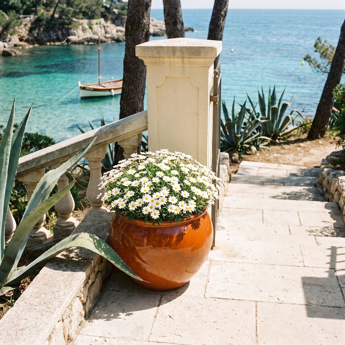 Pot LUTECE rond 53x43 cm orange tropical en terre cuite émaillée, marguerites sur un escalier face à la mer