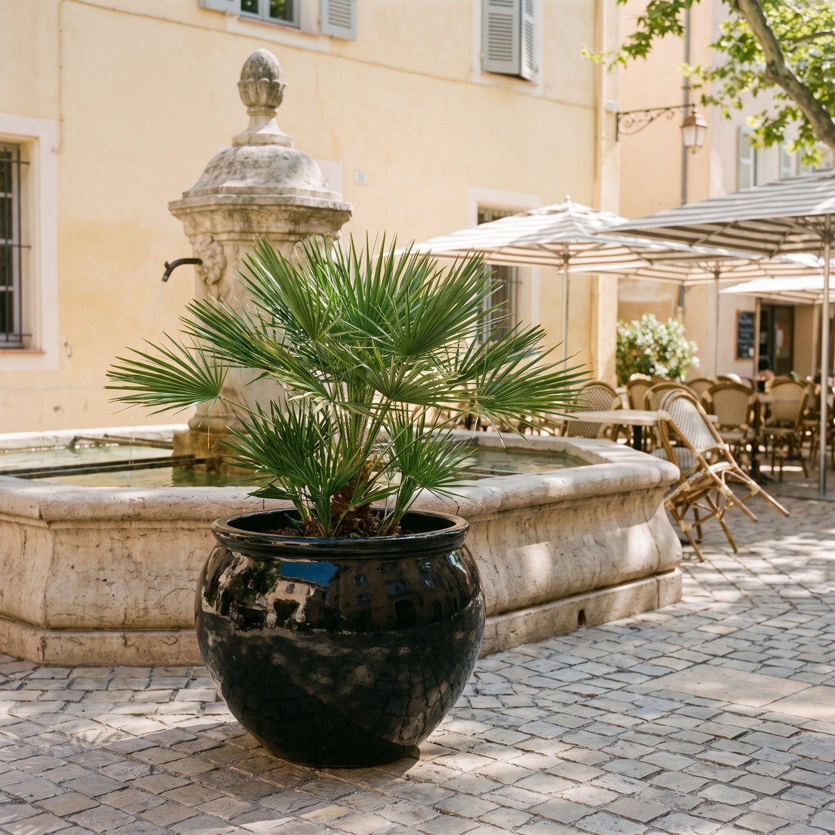 Round LUTECE planter 86x64 cm Black glazed ceramic, with palm tree near a fountain