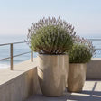 Vaso Mazarin2 Crema in ceramica smaltata, piantumato su una terrazza di fronte al mare