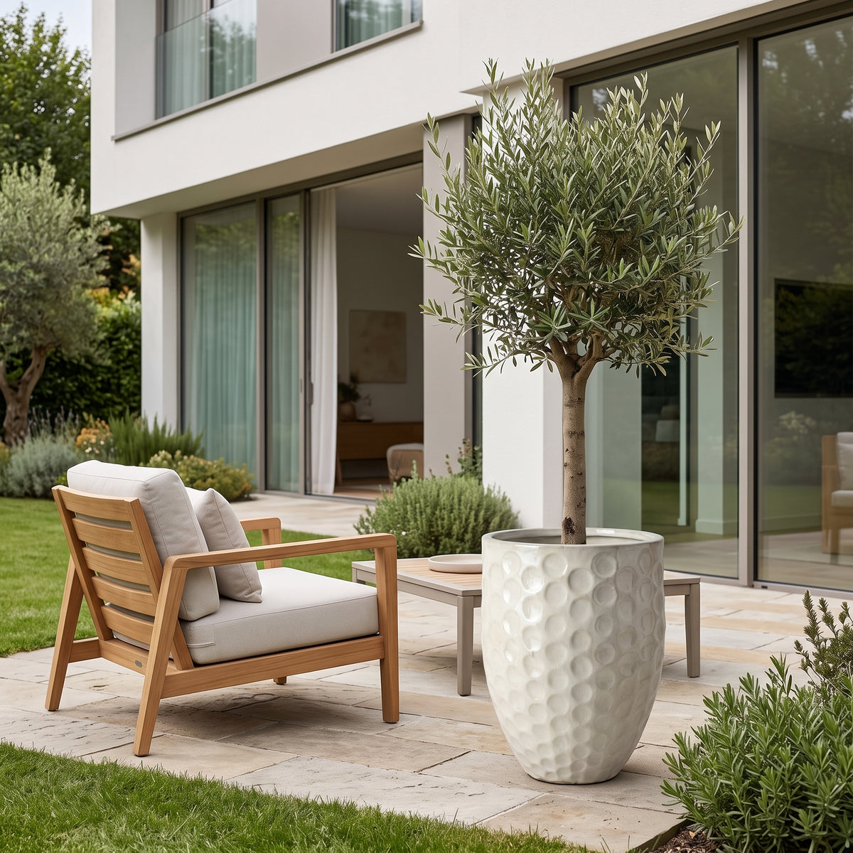Vaso Merovee 42x55 cm crema in ceramica smaltata, ulivo su una terrazza