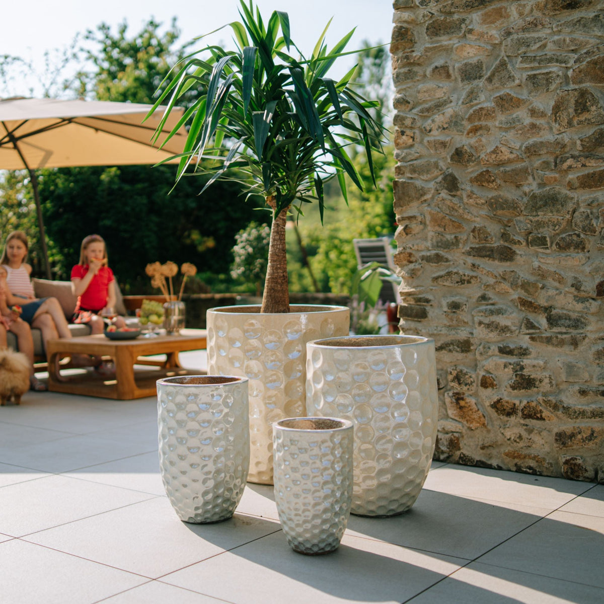 Pot Merovee en forme d'amphore perle en terre cuite émaillée, avec plante verte sur terrasse