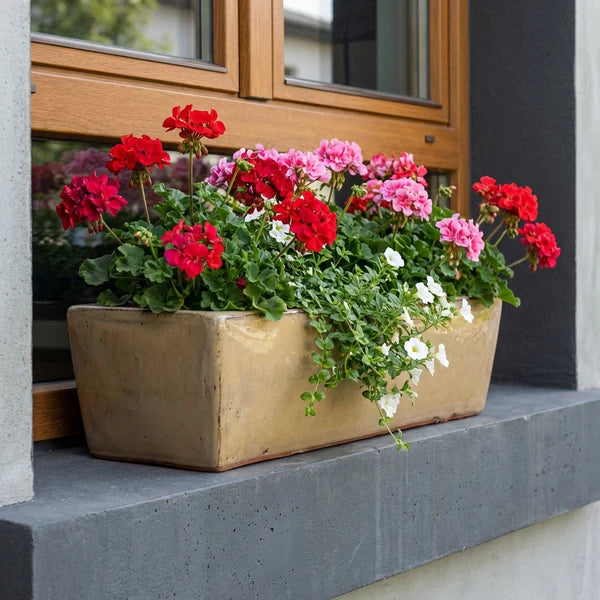 Jardinière GIONO 60x23x18cm sunset