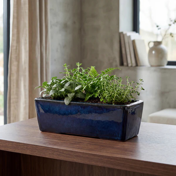Jardinière GIONO 46x15x14cm saphir