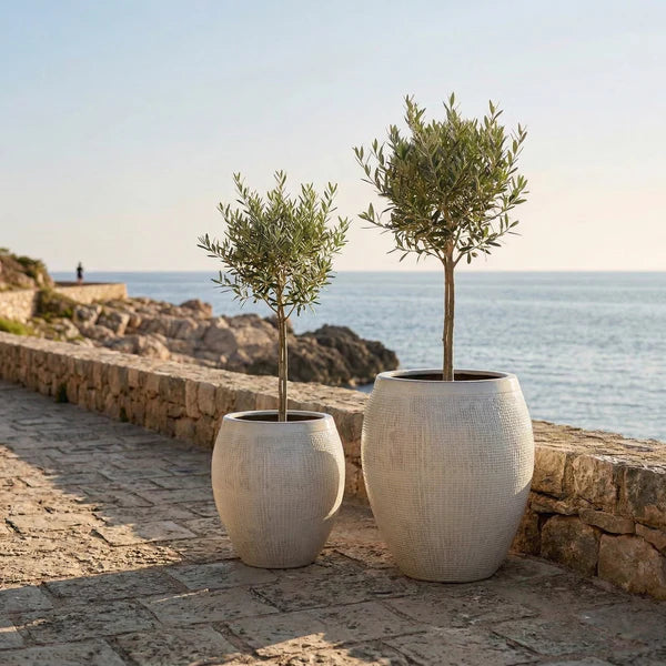 Vaso COCOON 42x53cm crema