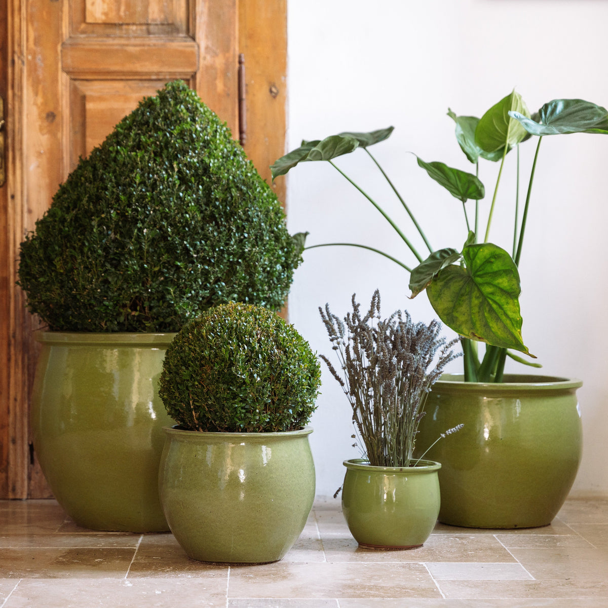 Vaso Newton rotondo 44x35 cm verde oliva in ceramica smaltata, con arte topiaria davanti a una porta