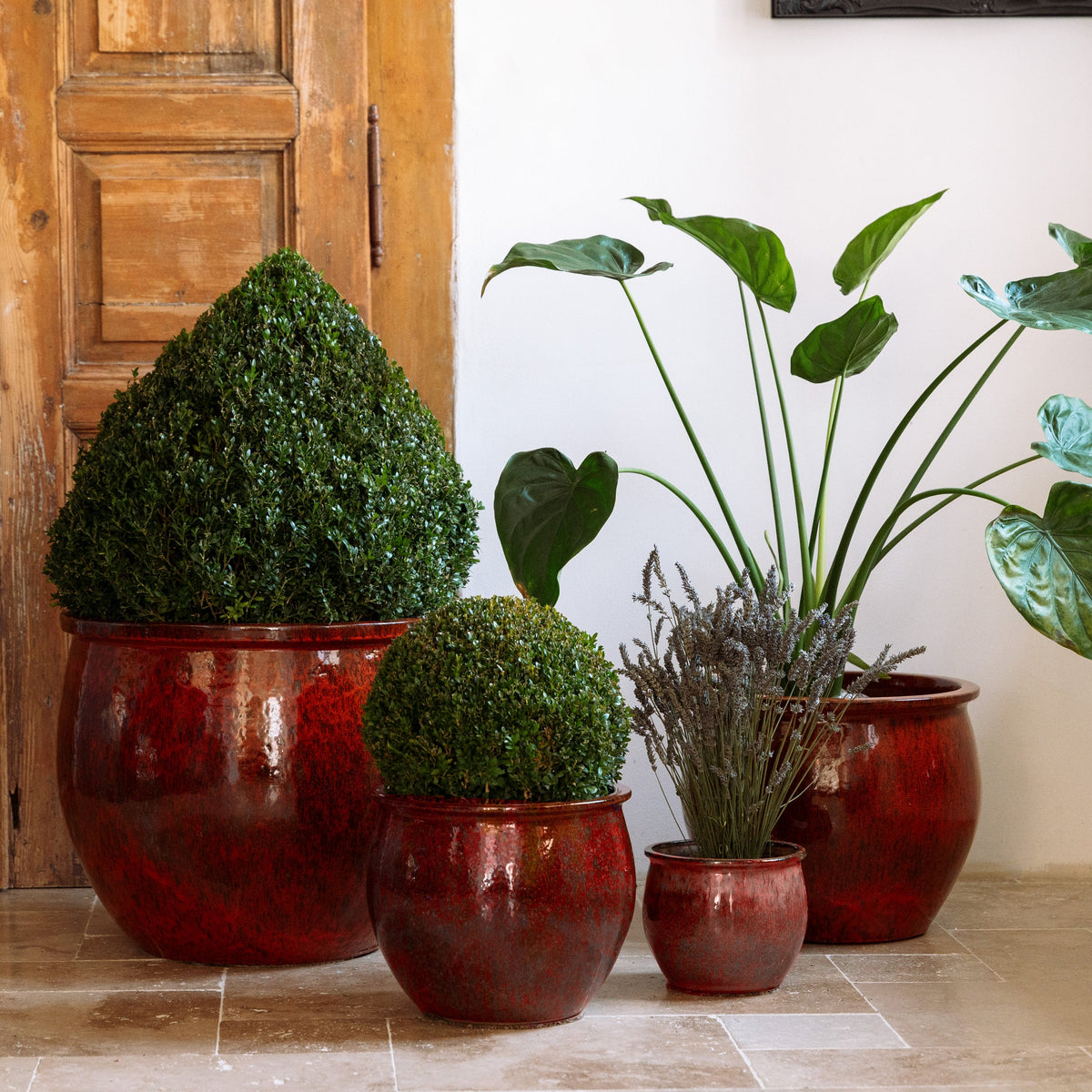 Ronde Newton-plantenbak in Herfstroest van geglazuurd keramiek, met planten bij een deur