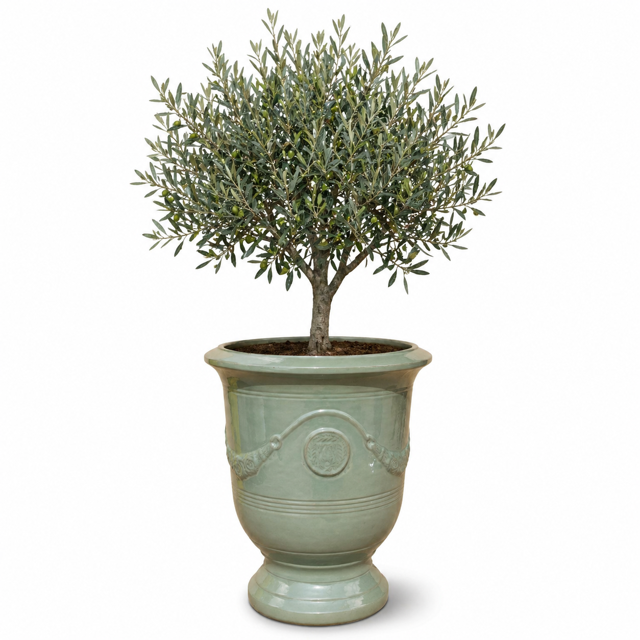 Lot olivier + pot RICHELIEU 46x56cm perle de jade, fait main en terre cuite émaillée