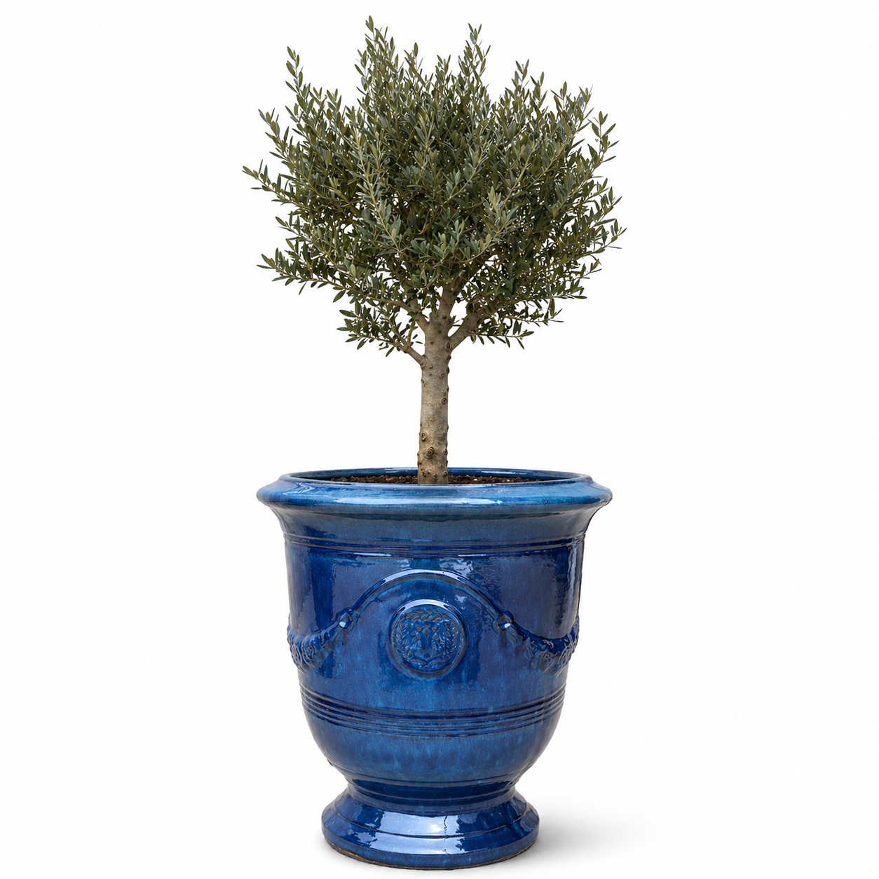 Lot olivier + pot RICHELIEU 46x56cm bleu azur, fait main en terre cuite émaillée