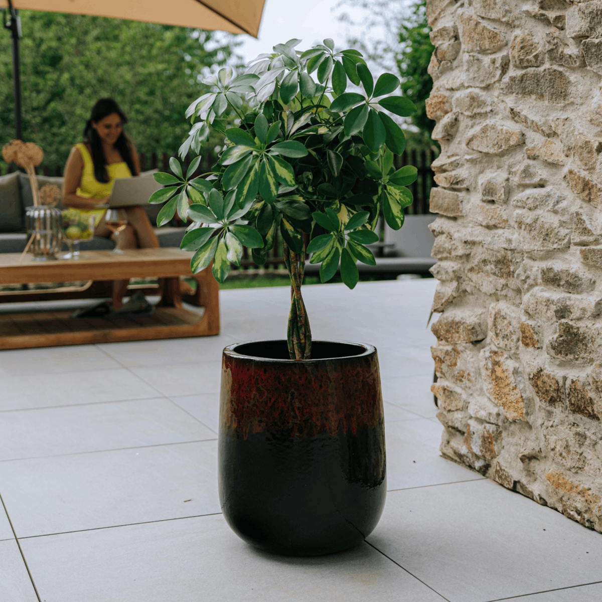 Pot DIANE décoratif 30x35 cm noir et rouge en terre cuite émaillée, arbre sur terrasse près d’un mur