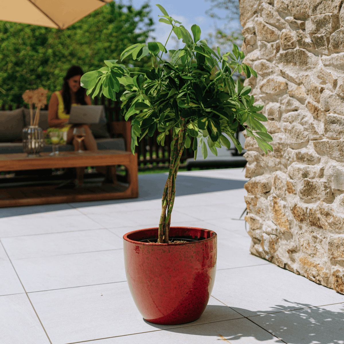 Pot LANCELOT décoratif 29x26 cm rouge tropical en terre cuite émaillée, sur terrasse avec arbuste
