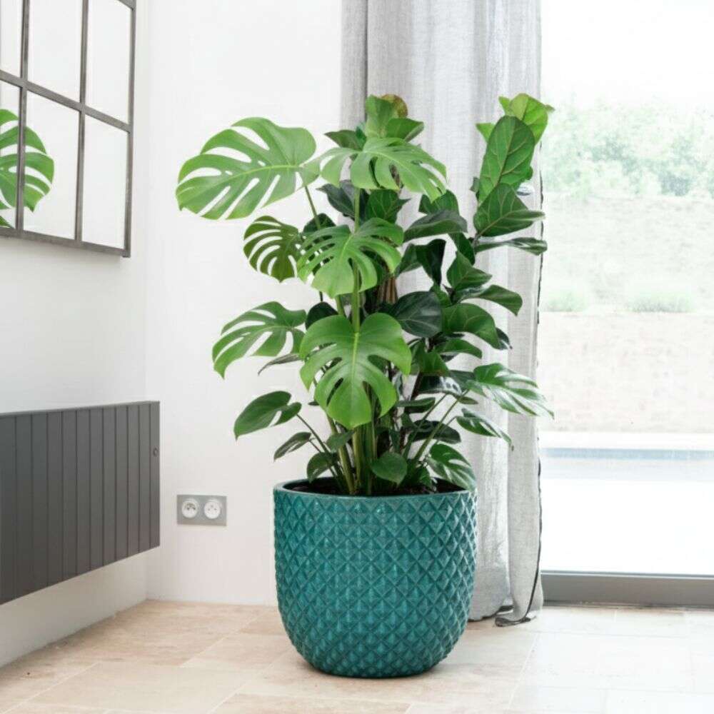 Pot MARS 30x30cm turquoise Provencelia