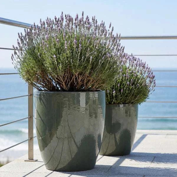 Pot MAZARIN2 37x49cm vert crème Provencelia