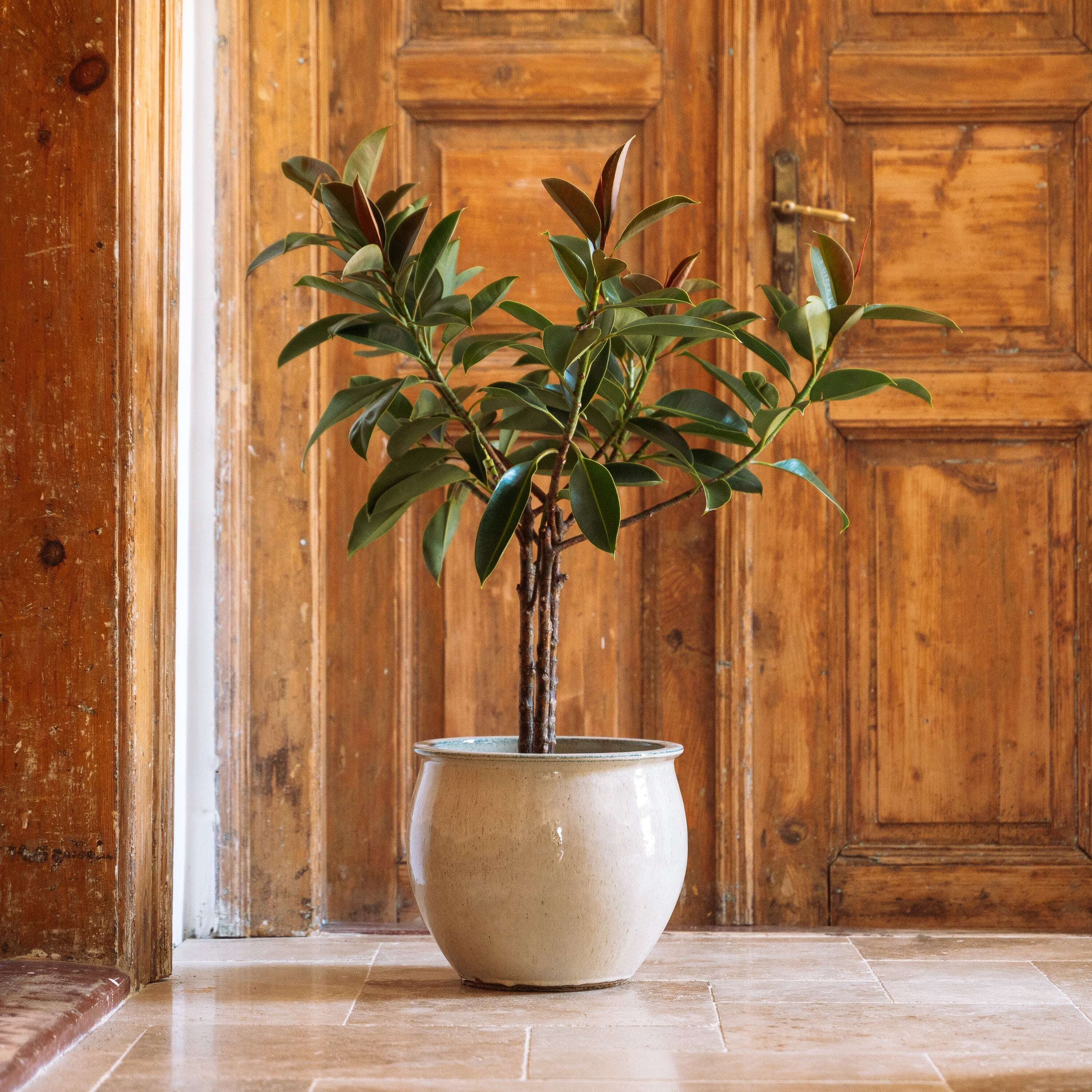 Pot NEWTON 34x28cm crème Provencelia