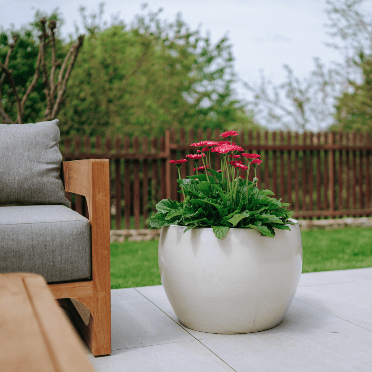 Pot ROMULUS rond 55x38 cm crème en terre cuite émaillée, avec fleurs roses en terrasse