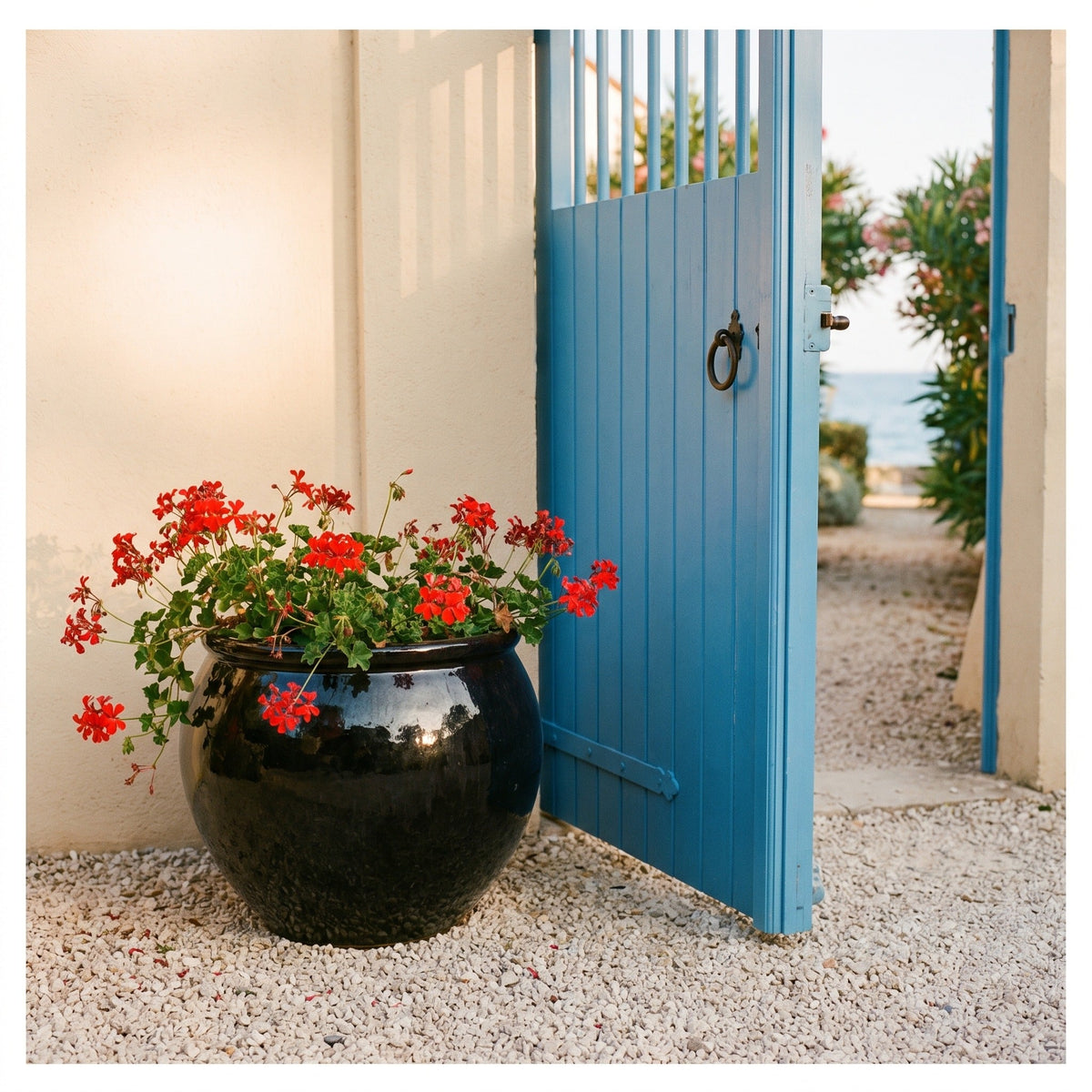 Round LUTECE planter 53x43 cm Black glazed ceramic, with geraniums near a door