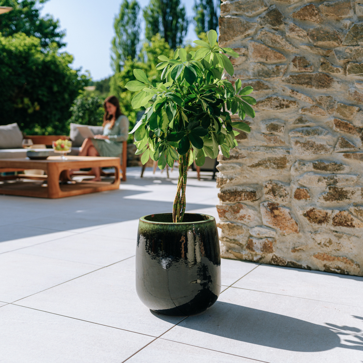 Round Socrate planter 32x33 cm Black and green glazed ceramic, with shrub on a terrace