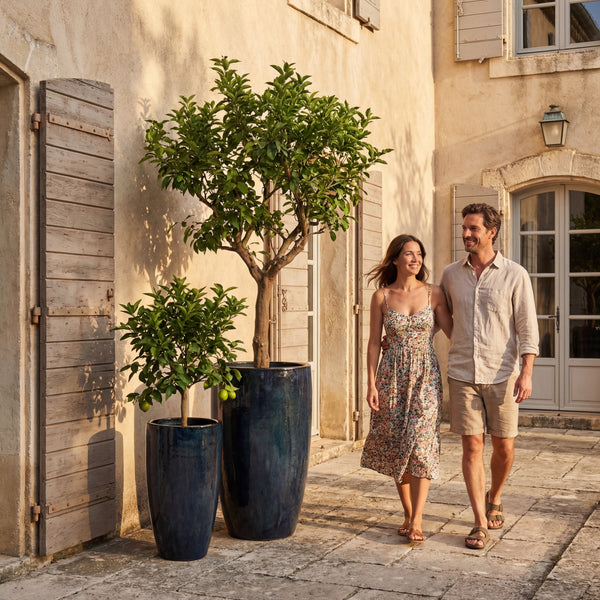 Sapphire Eiffel glazed ceramic planter, with citrus trees in a courtyard