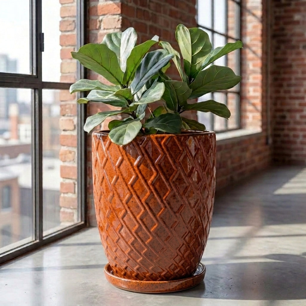 Tropical orange ceramic planter saucer – frost-resistant