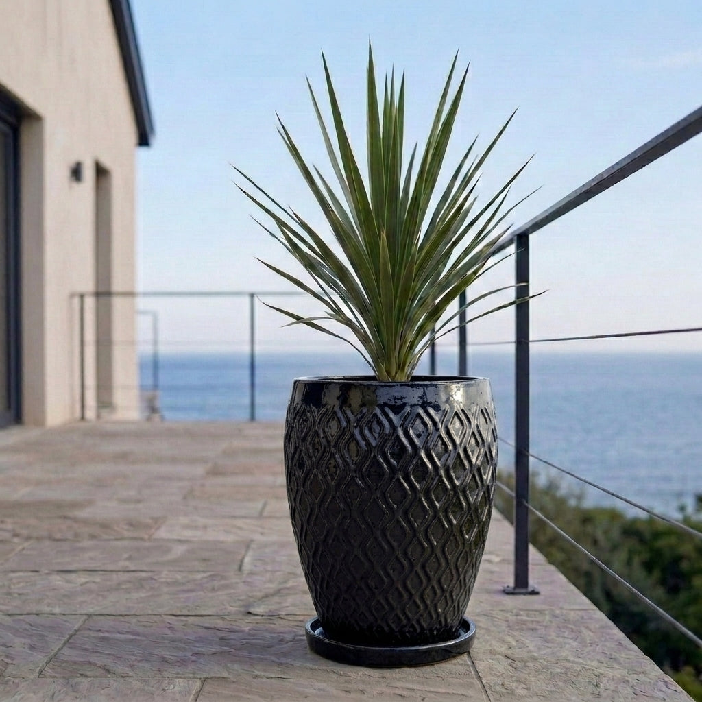 Black ceramic planter saucer – frost-resistant