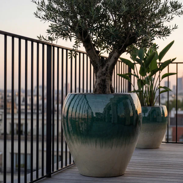 Summer mist Lafontaine2 amphora-shaped glazed ceramic planter, front view with an olive tree