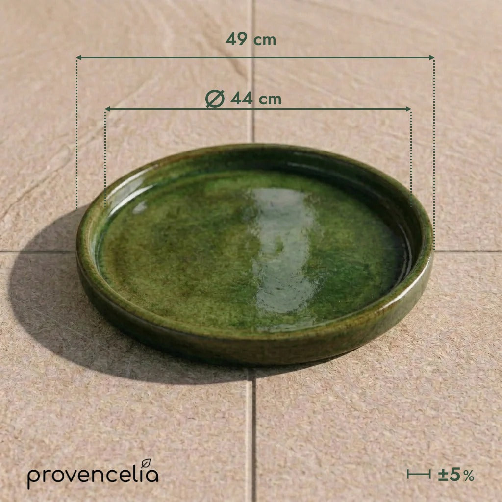 Platillo de 44 cm verde tropical, vista superior con dimensiones