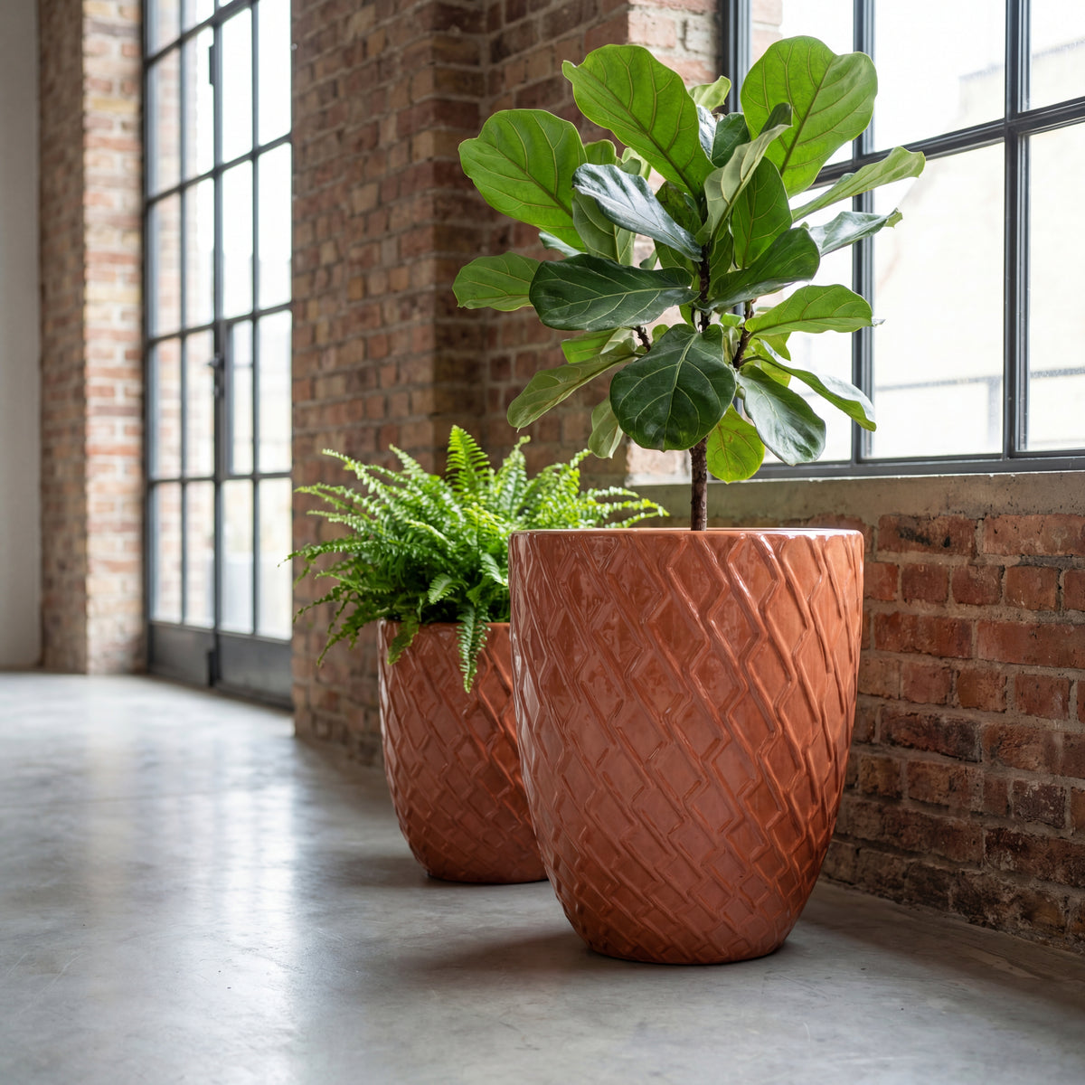 Vaso Zeus Aurora in ceramica smaltata, con due piante verdi in interni