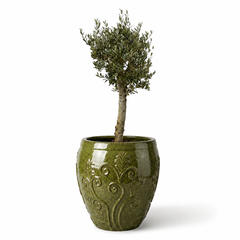 Lot olivier + pot GAIA 75x78cm vert tropical, fait main en terre cuite émaillée