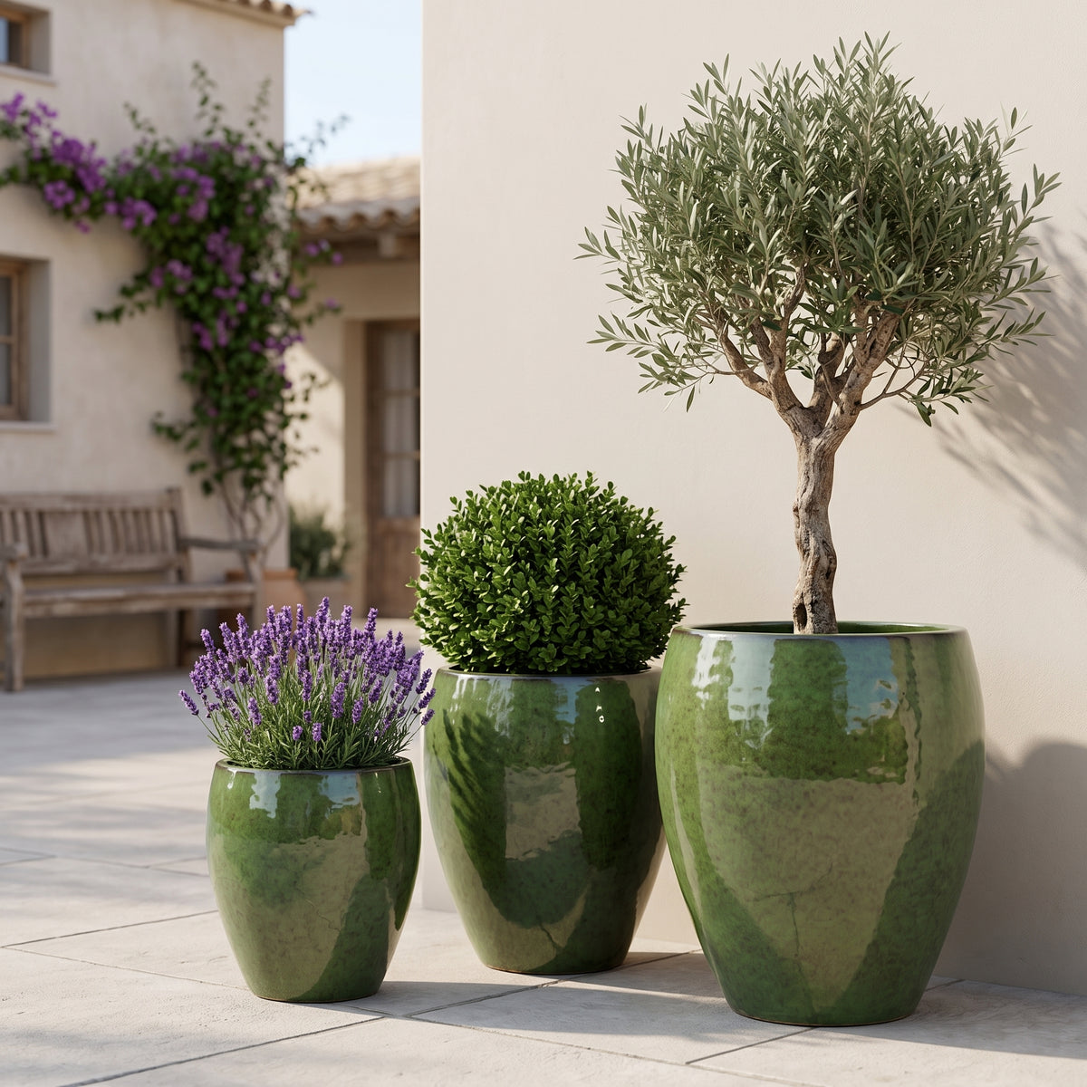 Pot Poseidon2 28x31 cm vert tropical en terre cuite émaillée, parmi trois pots avec olivier