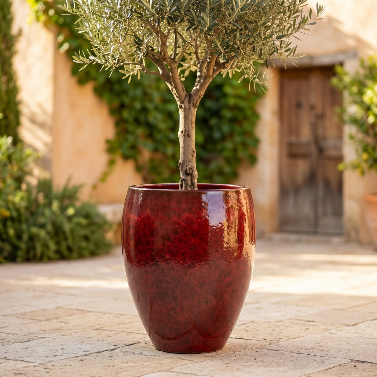 Decoratieve Tropisch rode plantenbak Poseidon2 28x31 cm van geglazuurd keramiek, met olijfboom op een terras