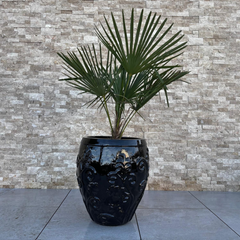 Pot GAIA 53x57cm noir