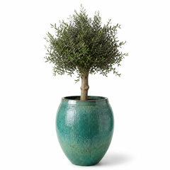 Lot olivier + pot COCOON 66x76cm bleu océan