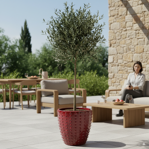 Pot ATTILA 38x37cm rouge impérial