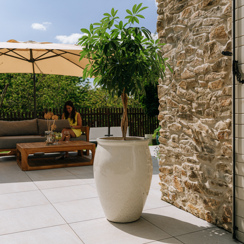 Pot BACCHUS 50x68cm crème