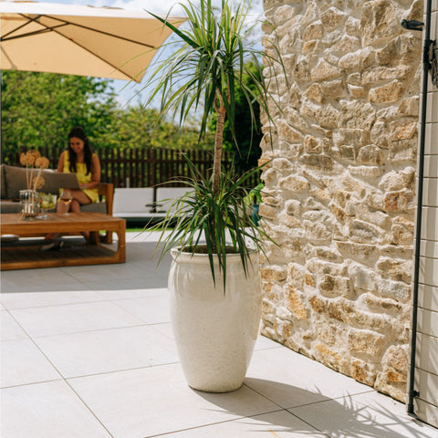 Pot BACCHUS 36x52cm crème