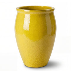 BACCHUS 50x68cm yellow