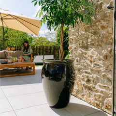 BACCHUS 50x68cm noir & vert